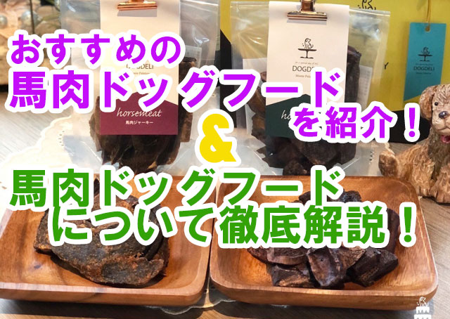 おすすめの馬肉ドッグフードを紹介！＆馬肉ドッグフードについて徹底解説！