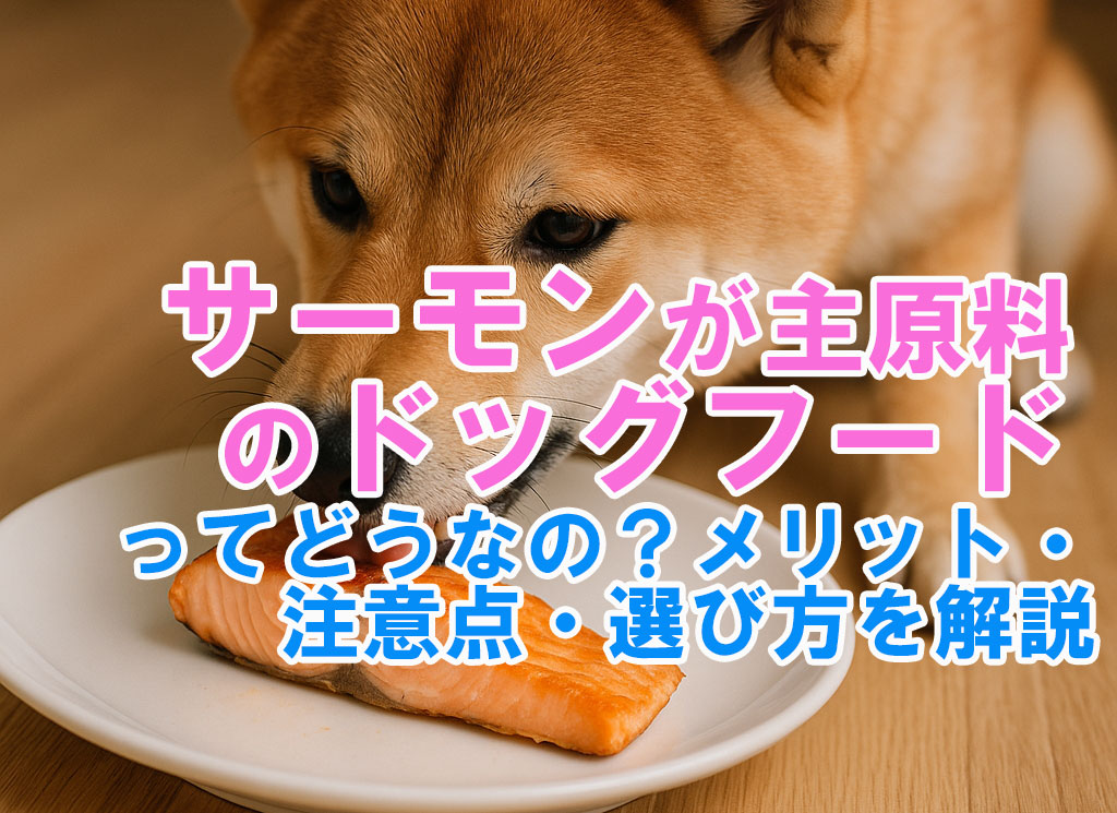 サーモンが主原料のドッグフードってどうなの？メリット・注意点・選び方を解説