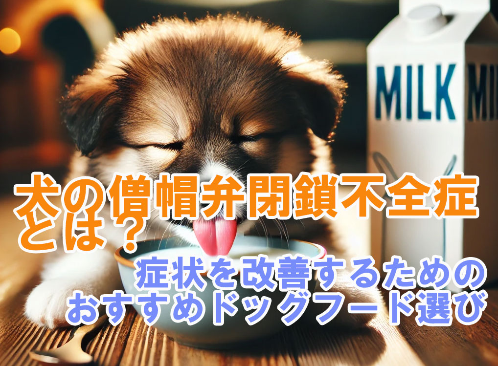 犬の僧帽弁閉鎖不全症とは？症状を改善するためのおすすめドッグフード選び