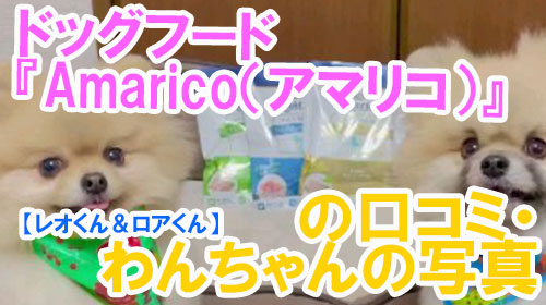 【17-レオくん＆ロアくん】ドッグフード『Amarico（アマリコ）』の口コミ・わんちゃんの写真