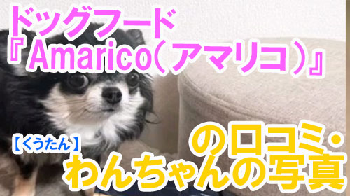 【20-くうたん】ドッグフード『Amarico（アマリコ）』の口コミ・わんちゃんの写真