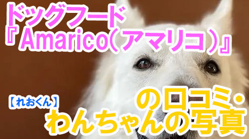 【27-れおくん】ドッグフード『Amarico（アマリコ）』の口コミ・わんちゃんの写真