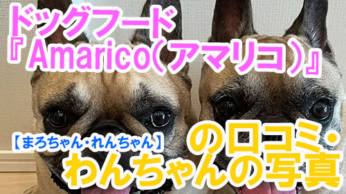 【28-まろちゃん・れんちゃん】ドッグフード『Amarico（アマリコ）』の口コミ・わんちゃんの写真