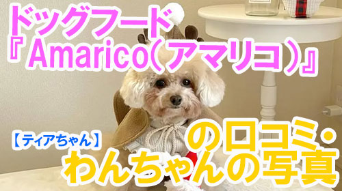 【29-ティアちゃん】ドッグフード『Amarico（アマリコ）』の口コミ・わんちゃんの写真