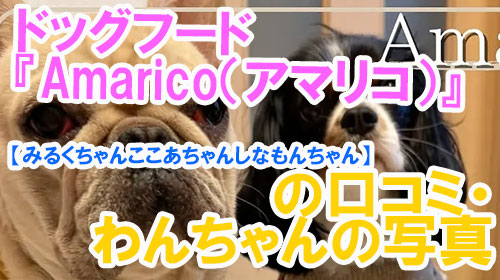 【37-みるくちゃんここあちゃんしなもんちゃん】ドッグフード『Amarico（アマリコ）』の口コミ・わんちゃんの写真
