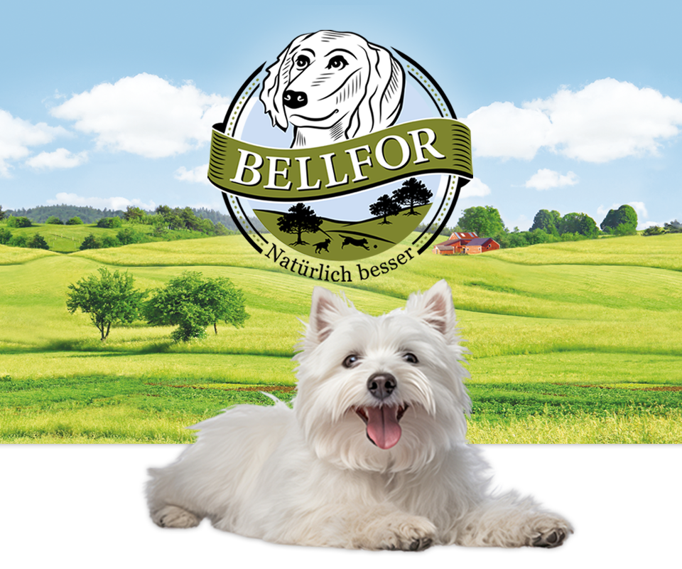 Bellfor（ベルフォア）は、ドッグフードの最適な栄養含有量と最高の消化率を常に確保、飼料専門家によって開発