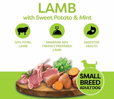 lamb-adult-small