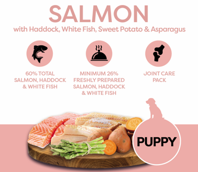 salmon-puppy